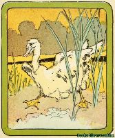 The Ugly Duckling