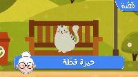 حَيْرَةُ قِطَّة
