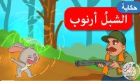 الشبل ارنوب