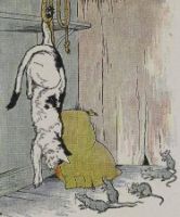 the cat and the old rat