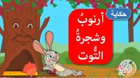 ارنوب و شجرة التوت