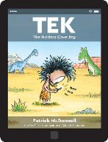 TEK The Modern Cave