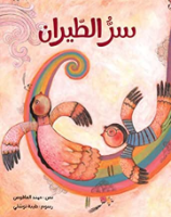 سر الطيران