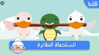 السلحفاة الطائرة - فيديو